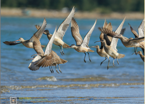 BẢO TỒN ĐA DẠNG SINH HỌC