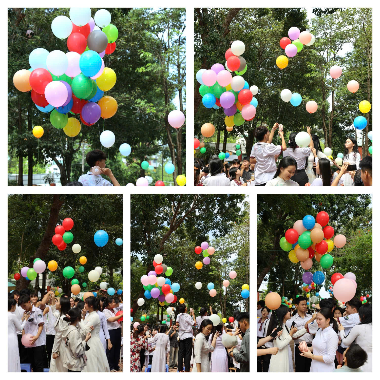 z6641512397932 99b4951a35fad71629a8345dee1a6626