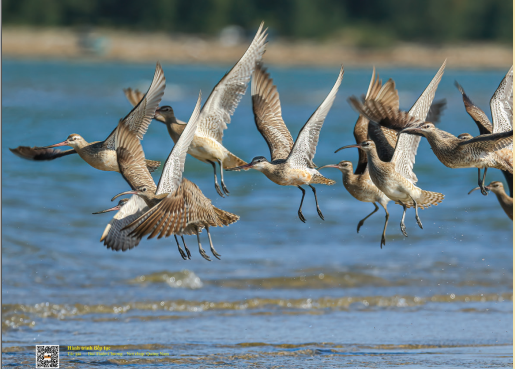 BẢO TỒN ĐA DẠNG SINH HỌC